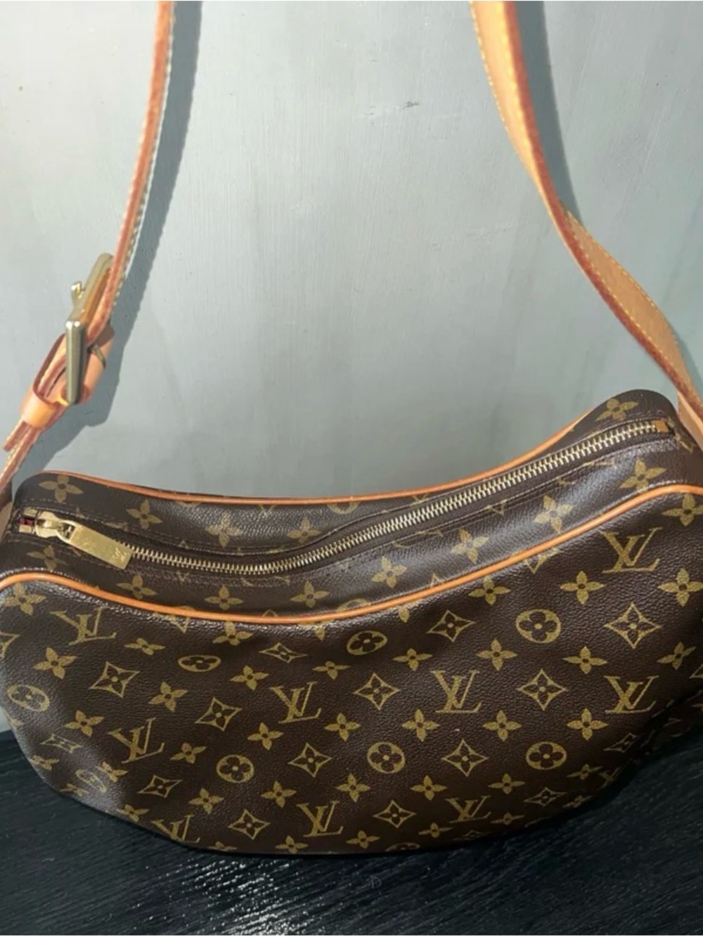 Louis Vuitton Crescent Bag
